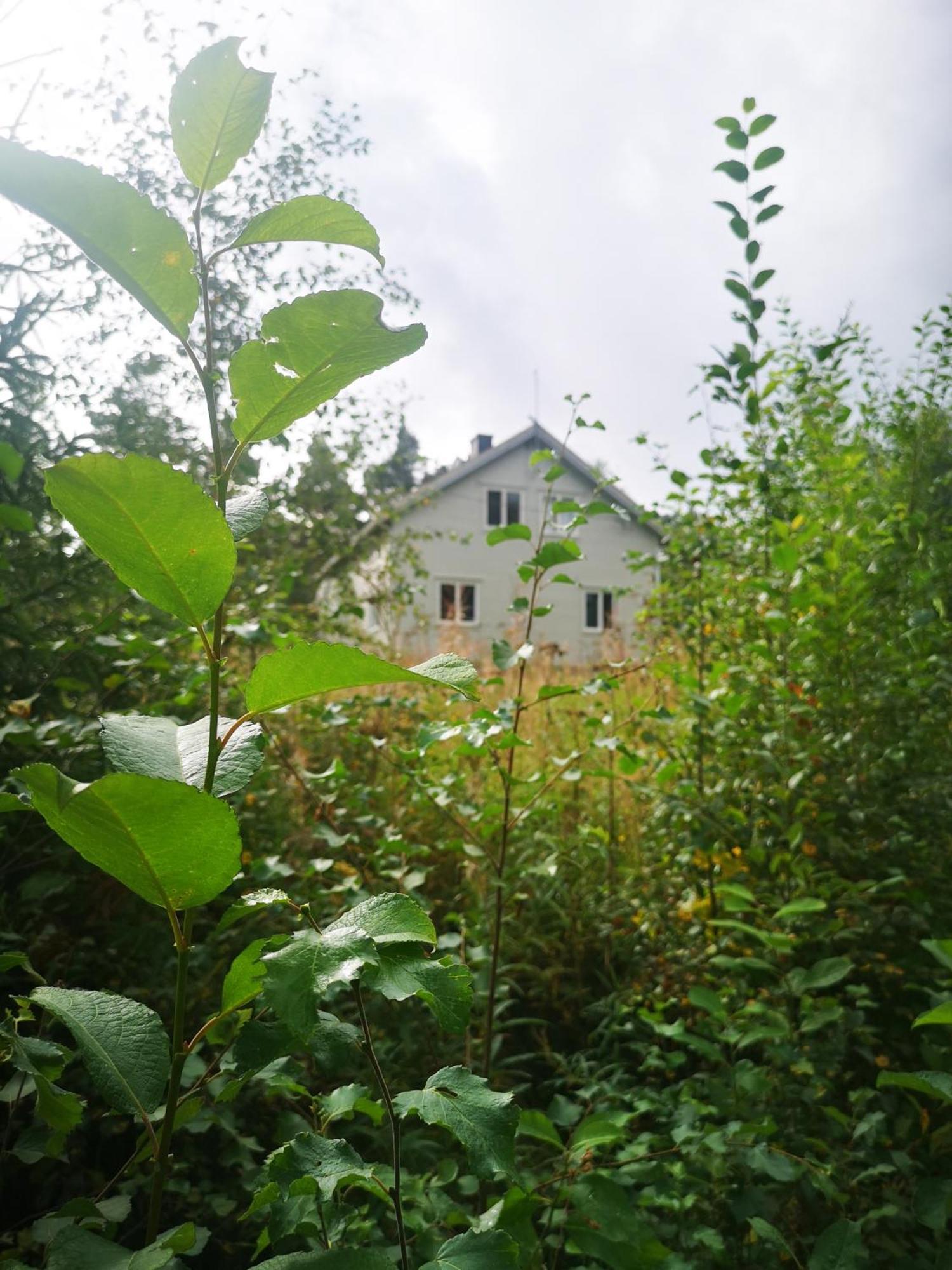 Koppang Villa Ka Stor Elvdal מראה חיצוני תמונה